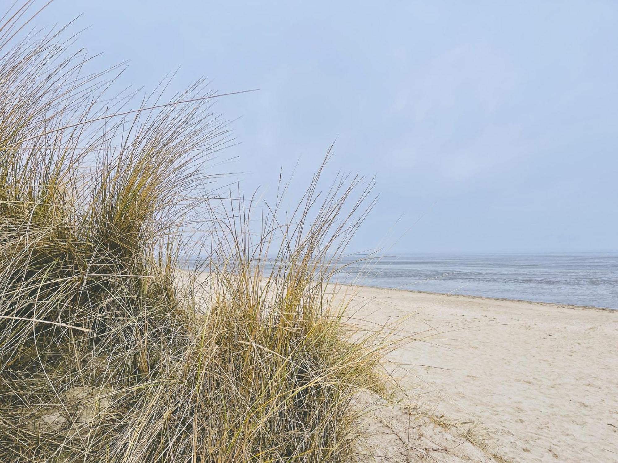 Strandnahe Haus Sonneneck 3 Apartment Cuxhaven
