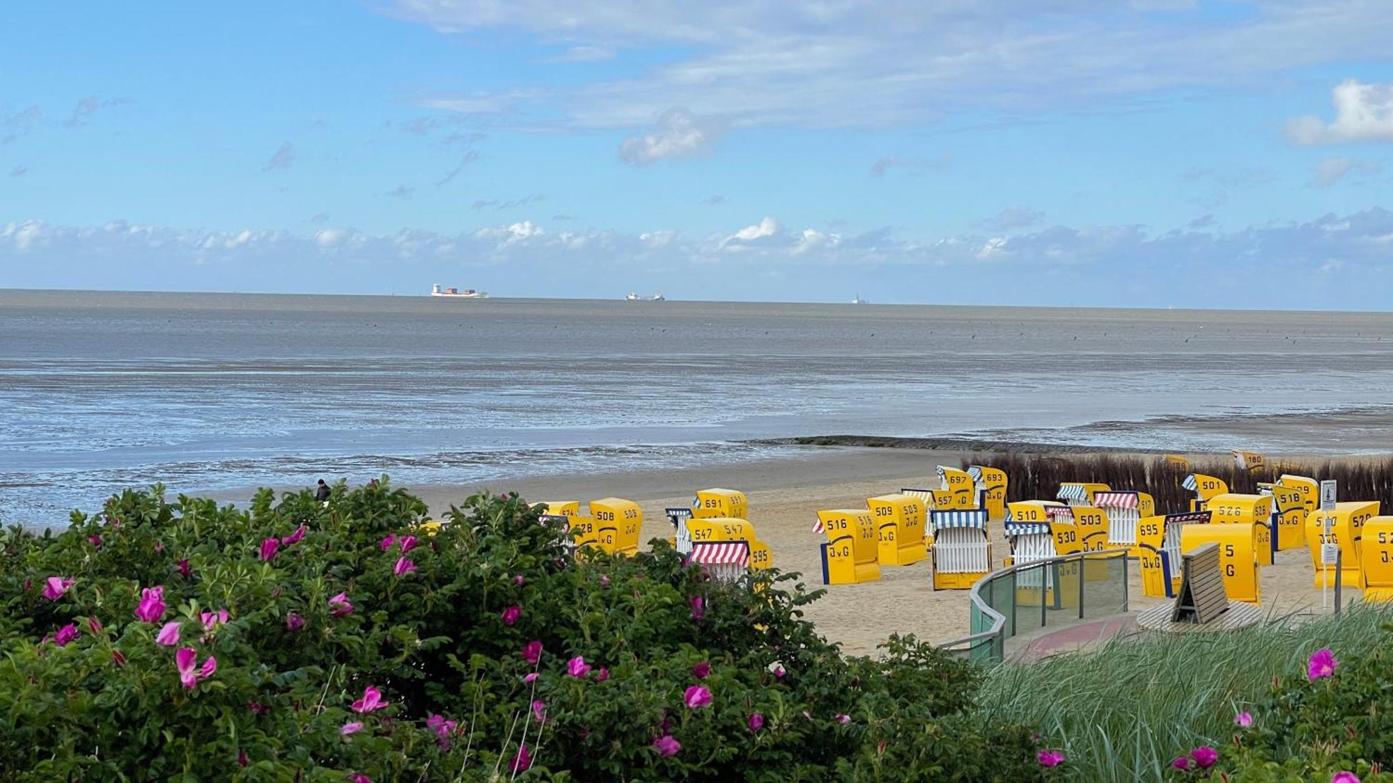 Strandnahe Haus Sonneneck 3 *