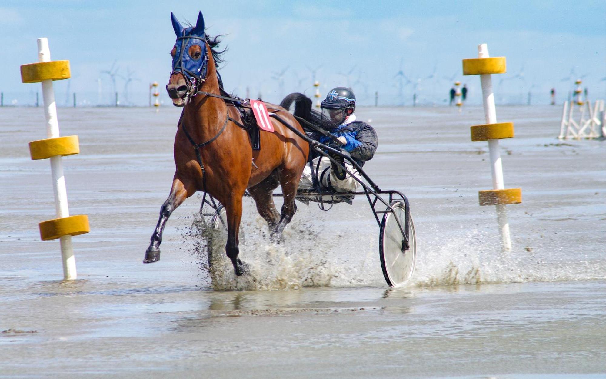 Strandnahe Haus Sonneneck 3 Cuxhaven